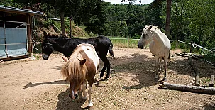 Mas Romeu Turisme Rural 003