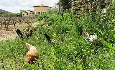 Los Mainetes en Fuente. Alamo (Albacete) - Foto 23