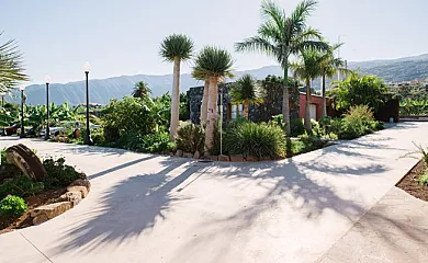 Finca el patio en Los Realejos (Santa Cruz de Tenerife) - Foto 13