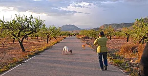 Cortijo de los Castellanos 0015
