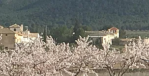 Cortijo de los Castellanos 0016