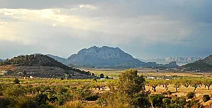 Cortijo de los Castellanos 0020