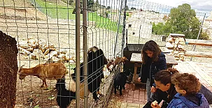 Apartamento Turístico El Granjuelo 005