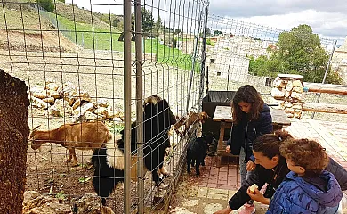 Apartamento Turístico El Granjuelo en Huete (Cuenca) - Foto 5
