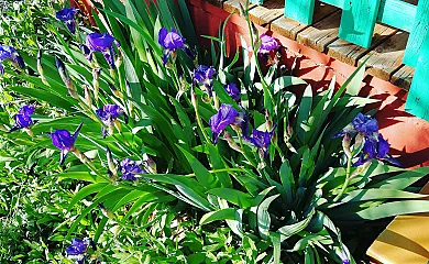 Las Casas De la Vega en Enguidanos (Cuenca) - Foto 24