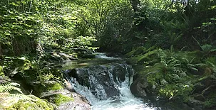 Casa Rural Los Riveros de Jeromo 0031