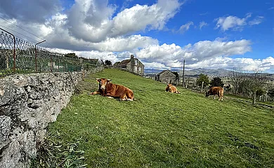 O Balcón do Oitaven en Ponte Caldelas (Pontevedra) - Foto 11