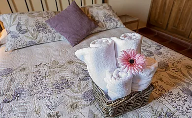 La Hacendera Entre Hoces en Campo De San Pedro (Segovia) - Foto 14