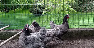 Las Casucas de Villegar 005