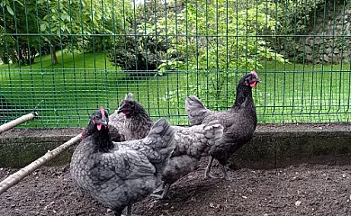 Las Casucas de Villegar en Corvera (Cantabria) - Foto 5