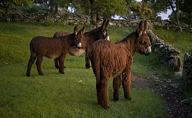 Casa de los Arribes en Fornillos de Fermoselle (Zamora) - Foto 7
