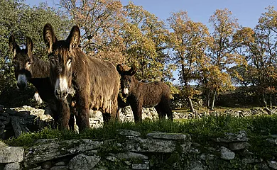Casa de los Arribes en Fornillos de Fermoselle (Zamora) - Foto 9