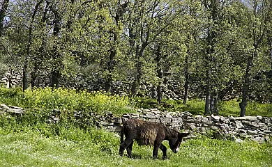 Casa de los Arribes en Fornillos de Fermoselle (Zamora) - Foto 10