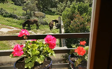 Casa de los Arribes en Fornillos de Fermoselle (Zamora) - Foto 17