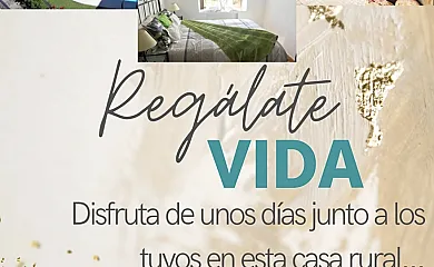 Los Robles Casa Rural en Prádena de Atienza (Guadalajara) - Foto 6