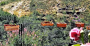 Los Robles Casa Rural 003