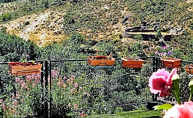 Los Robles Casa Rural en Prádena de Atienza (Guadalajara) - Foto 3