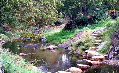 Los Robles Casa Rural en Prádena de Atienza (Guadalajara) - Foto 13