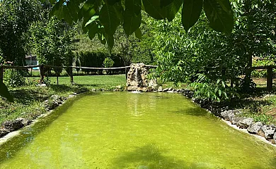 Finca El Lagunazo Cabañas en Riopar (Albacete) - Foto 2