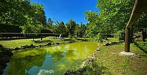 Finca El Lagunazo Cabañas 004