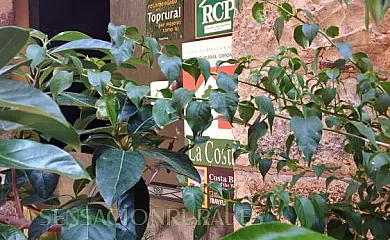 La Costa en Peralada (Girona) - Foto 18