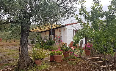 Complejo El Nogal Rural en Guadalcanal (Sevilla) - Foto 11