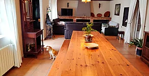 Complejo El Nogal Rural 003