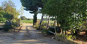 Casa Rural La Navarra Vieja 0015