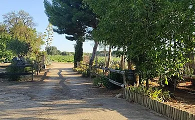 Casa Rural La Navarra Vieja en Villarrobledo (Albacete) - Foto 15