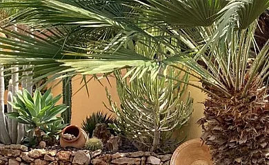 Villa Bo en Deltebre (Tarragona) - Foto 6