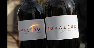 Casa Rural La Navarra Vieja 0020