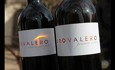 Casa Rural La Navarra Vieja en Villarrobledo (Albacete) - Foto 20