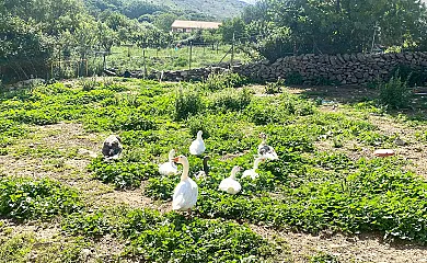 Las Raices en Robledondo (Madrid) - Foto 7