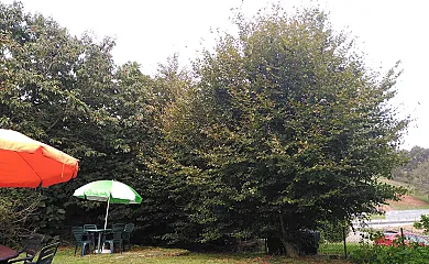 Las Carolinas en Anaz cerca de Cabárceno en Medio Cudeyo (Cantabria) - Foto 3