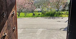 Las Carolinas en Anaz cerca de Cabárceno 005