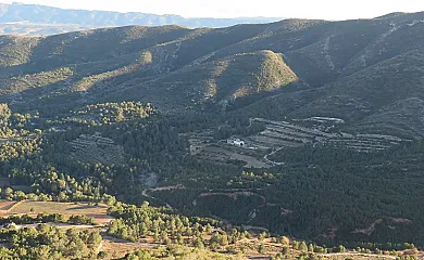 Eco Maset en Aielo de Malferit (Valencia) - Foto 9