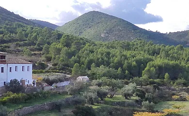 Eco Maset en Aielo de Malferit (Valencia) - Foto 11