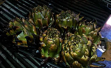 LA MORERA. en Vespella De Gaia (Tarragona) - Foto 25