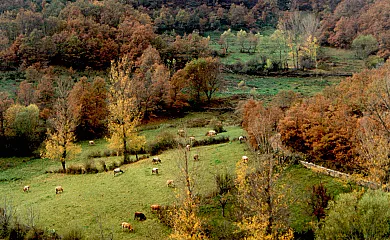 Casas de Cuevas en Cuevas de Viñayo (León) - Foto 7