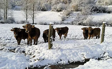 Casas de Cuevas en Cuevas de Viñayo (León) - Foto 16