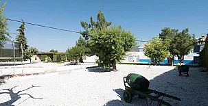 Patitas Caravaca y Tosquillas 0039