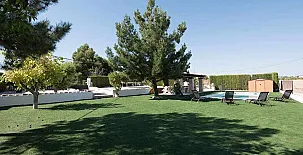 Patitas Caravaca y Tosquillas 0041