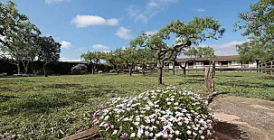 Masía Cal Jaume 006