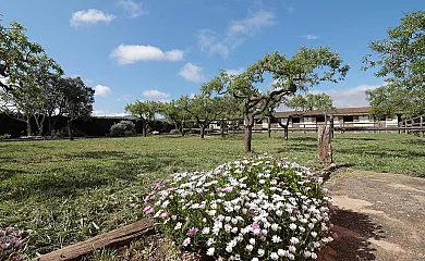 Masía Cal Jaume en Fals (Barcelona) - Foto 6