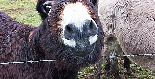 Casa Rural Latadia 009