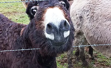 Casa Rural Latadia en Arizkun (Navarra) - Foto 9
