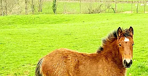 Casa Rural Latadia 0020