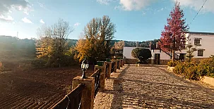 El Cortijo de Don Manuel 0023