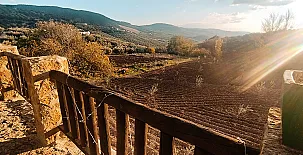 El Cortijo de Don Manuel 0025