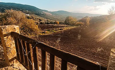 El Cortijo de Don Manuel en Algarinejo (Granada) - Foto 25